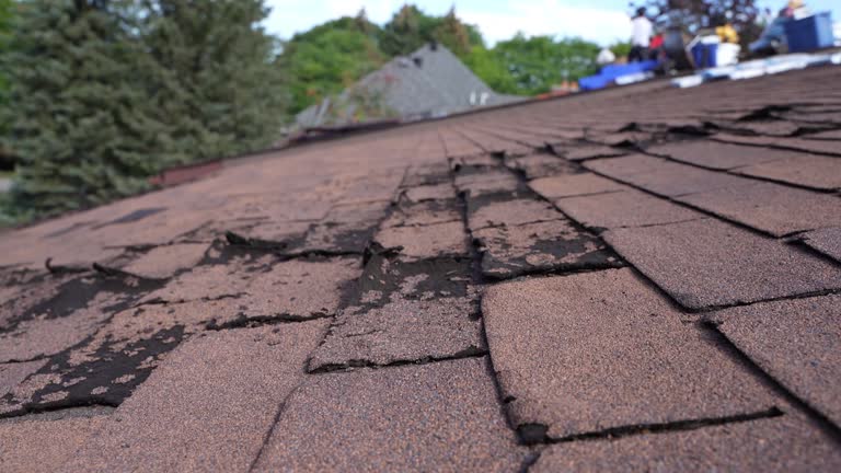 Best Roof Ventilation Installation  in Sleepy Hollow, CA